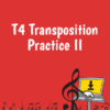 T4 Transposition Practice II